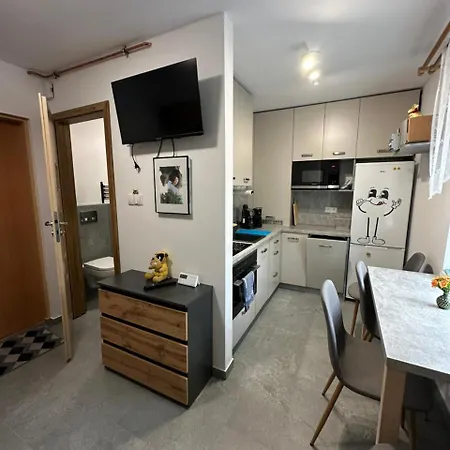 公寓 Zaciszny Kacik *