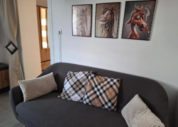 Apartment Zaciszny Kacik