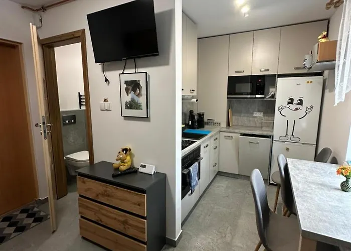 Apartment Zaciszny Kacik *