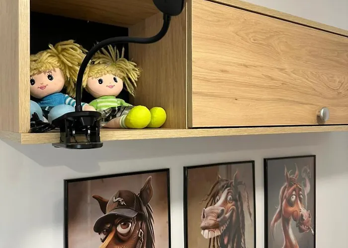 Zaciszny Kacik 波兰尼卡-兹德鲁伊